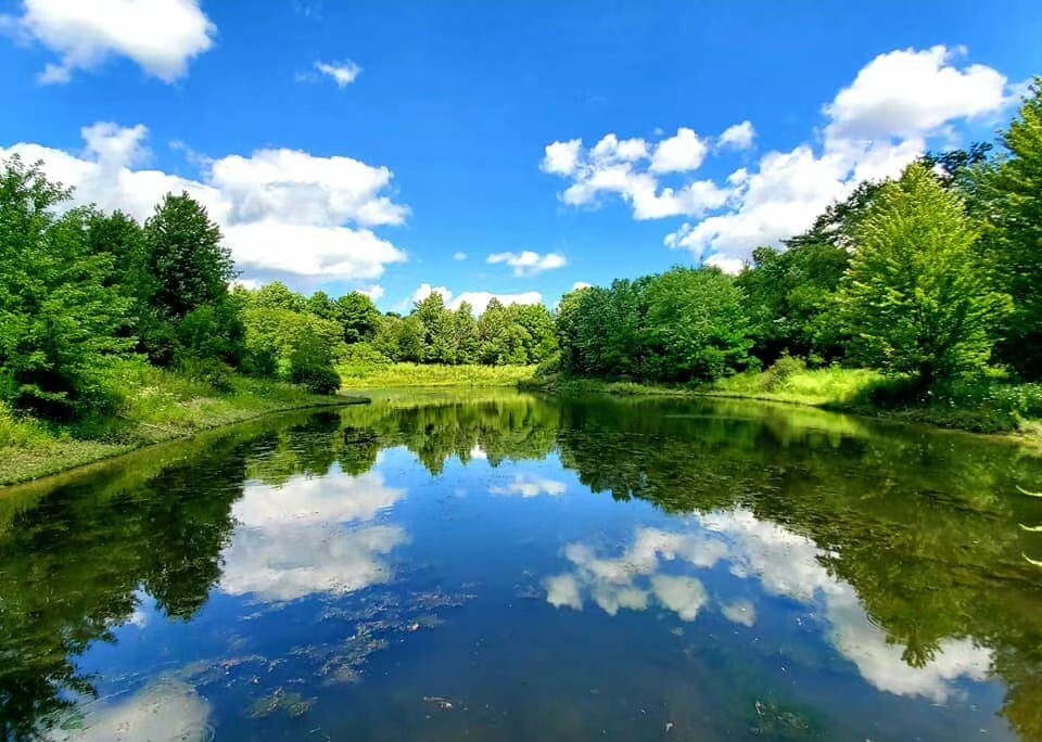 回溫期養(yǎng)蝦如何治弧菌？