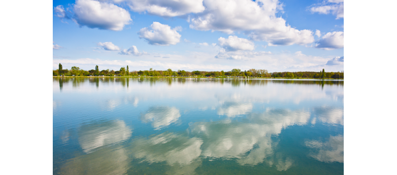 早春如何快速培育優(yōu)良水質(zhì)和藻相？