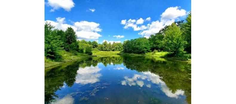 回溫期養(yǎng)蝦如何治弧菌？